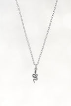 Tiny Snake Necklace – Dainty Serpent Pendant