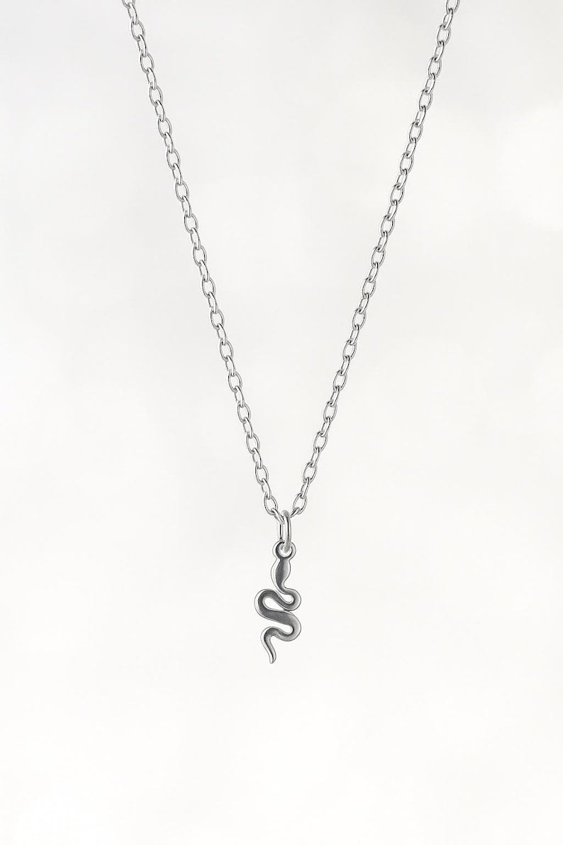 Tiny Snake Necklace – Dainty Serpent Pendant