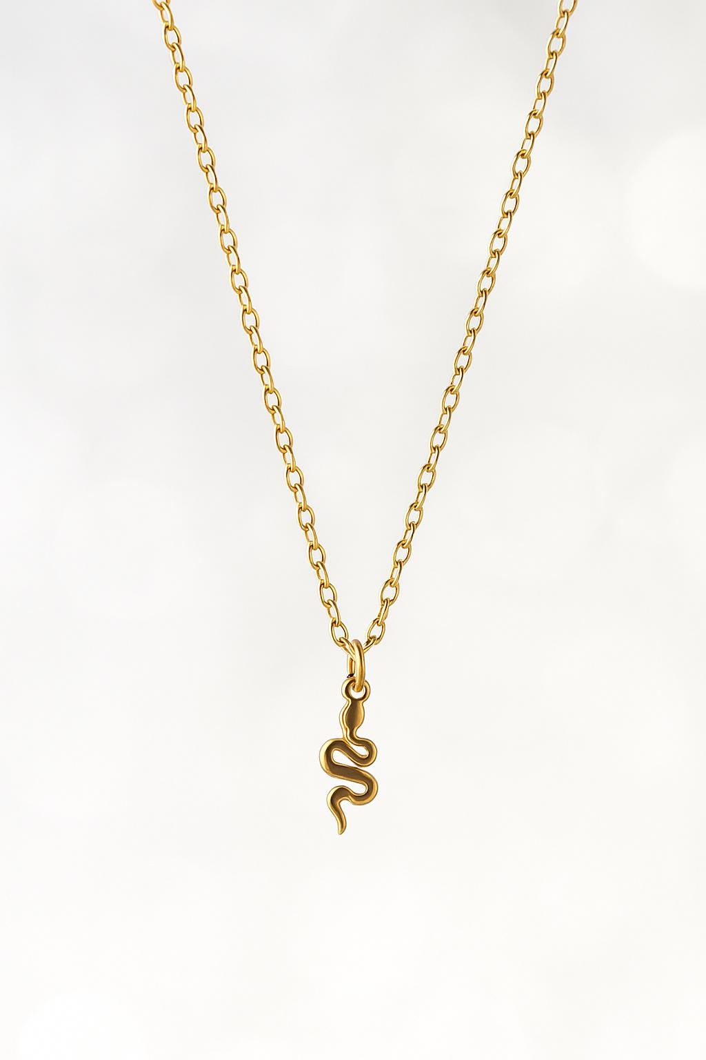 Tiny Snake Necklace  – Dainty Serpent Pendant in Gold or Silver | Symbolic Minimalist Jewelry | Elegant Gift for Her