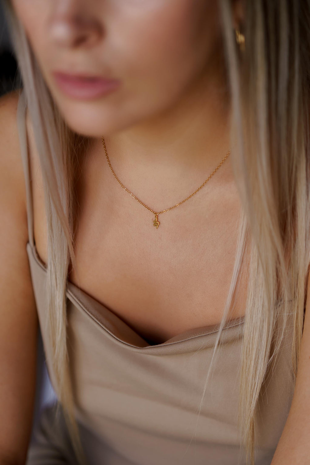 Tiny Snake Necklace  – Dainty Serpent Pendant in Gold or Silver | Symbolic Minimalist Jewelry | Elegant Gift for Her