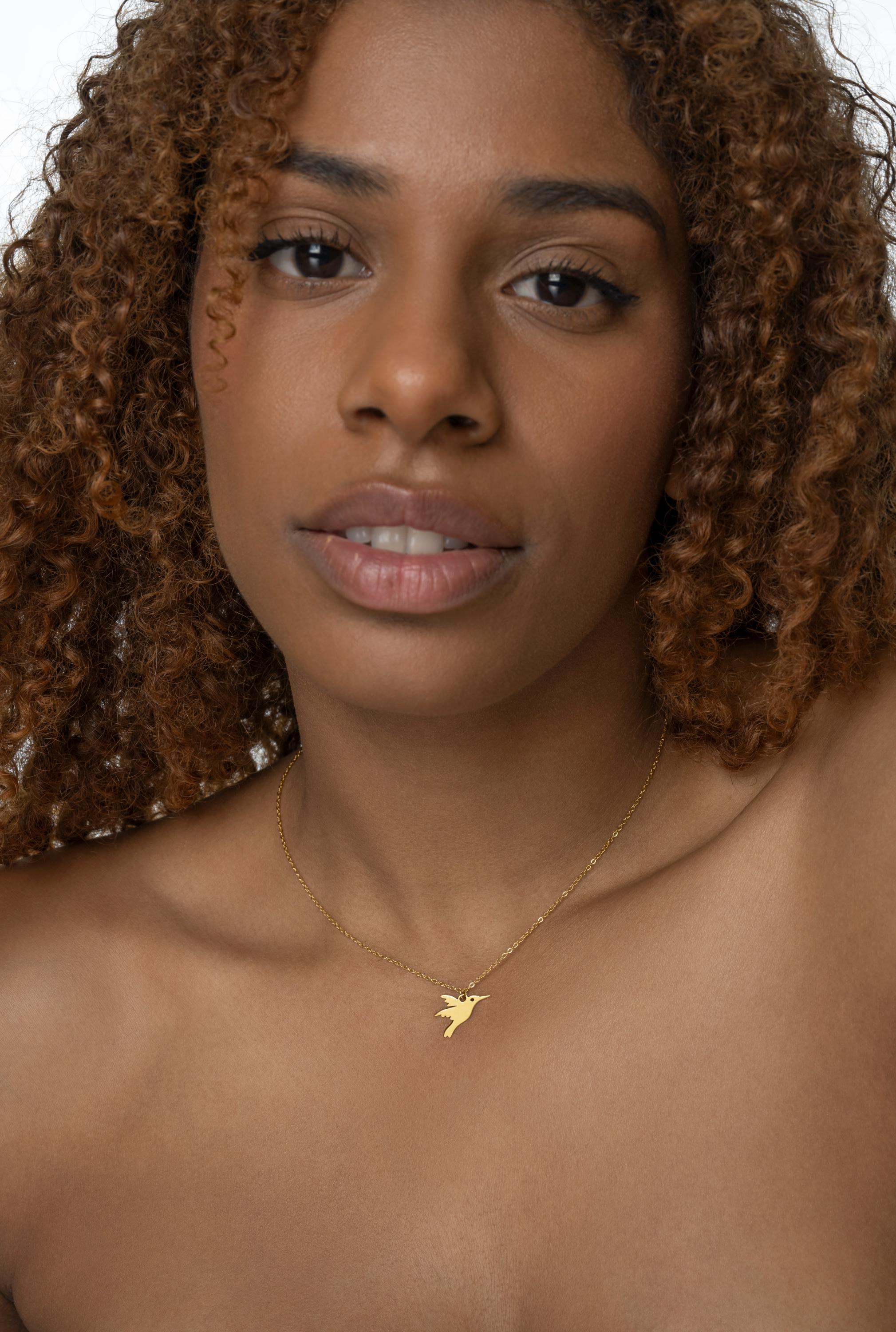 Hummingbird Necklace – Gold or Silver | Minimalist Bird Pendant | 14k Gold Over Stainless Steel | Symbol of Joy & Freedom | Gift for Her